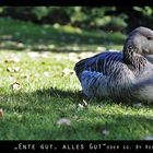 "Ente gut, alles gut" oder so...