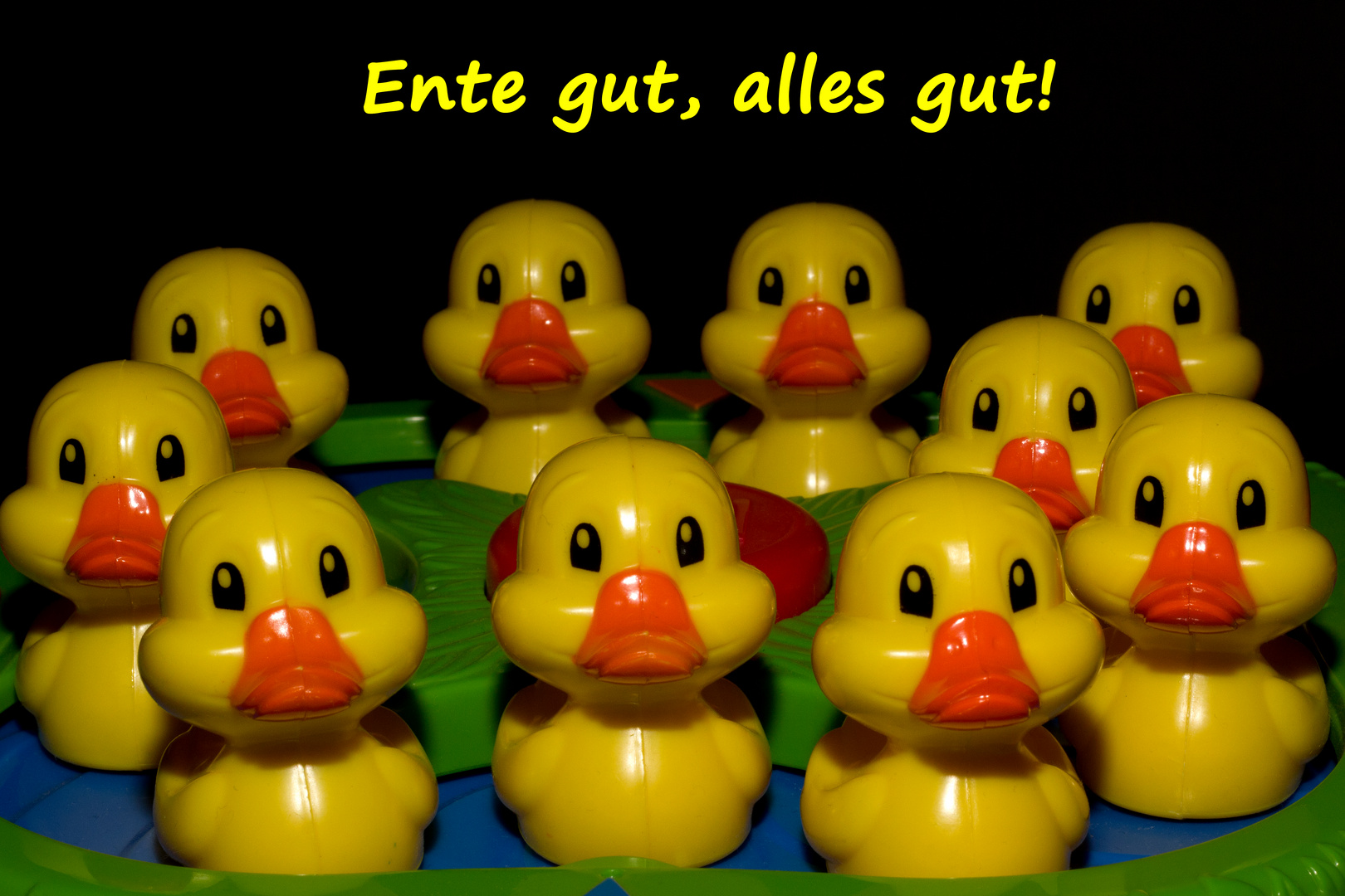 Ente gut