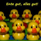 Ente gut