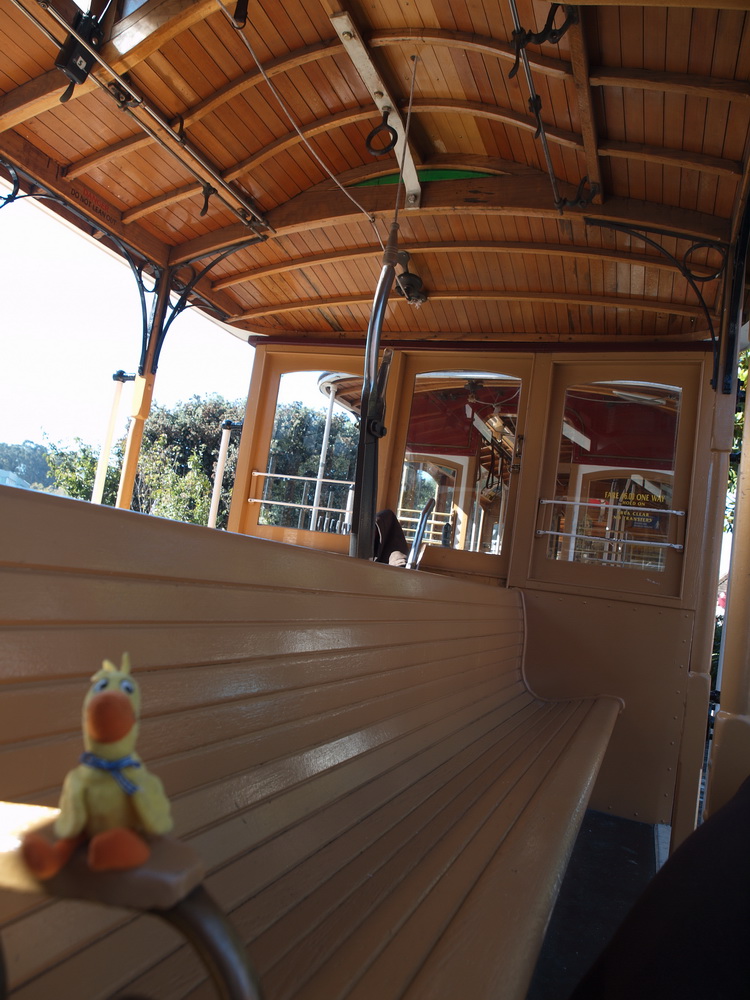 Ente im Cable Car