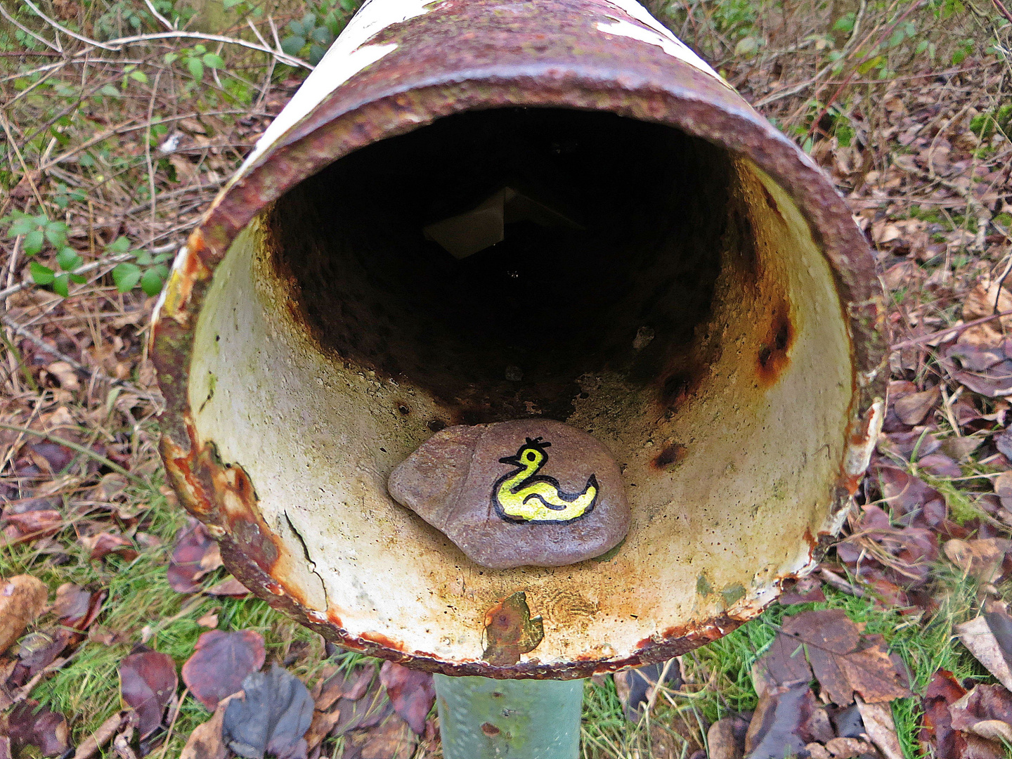 Ente in Röhre auf Stein