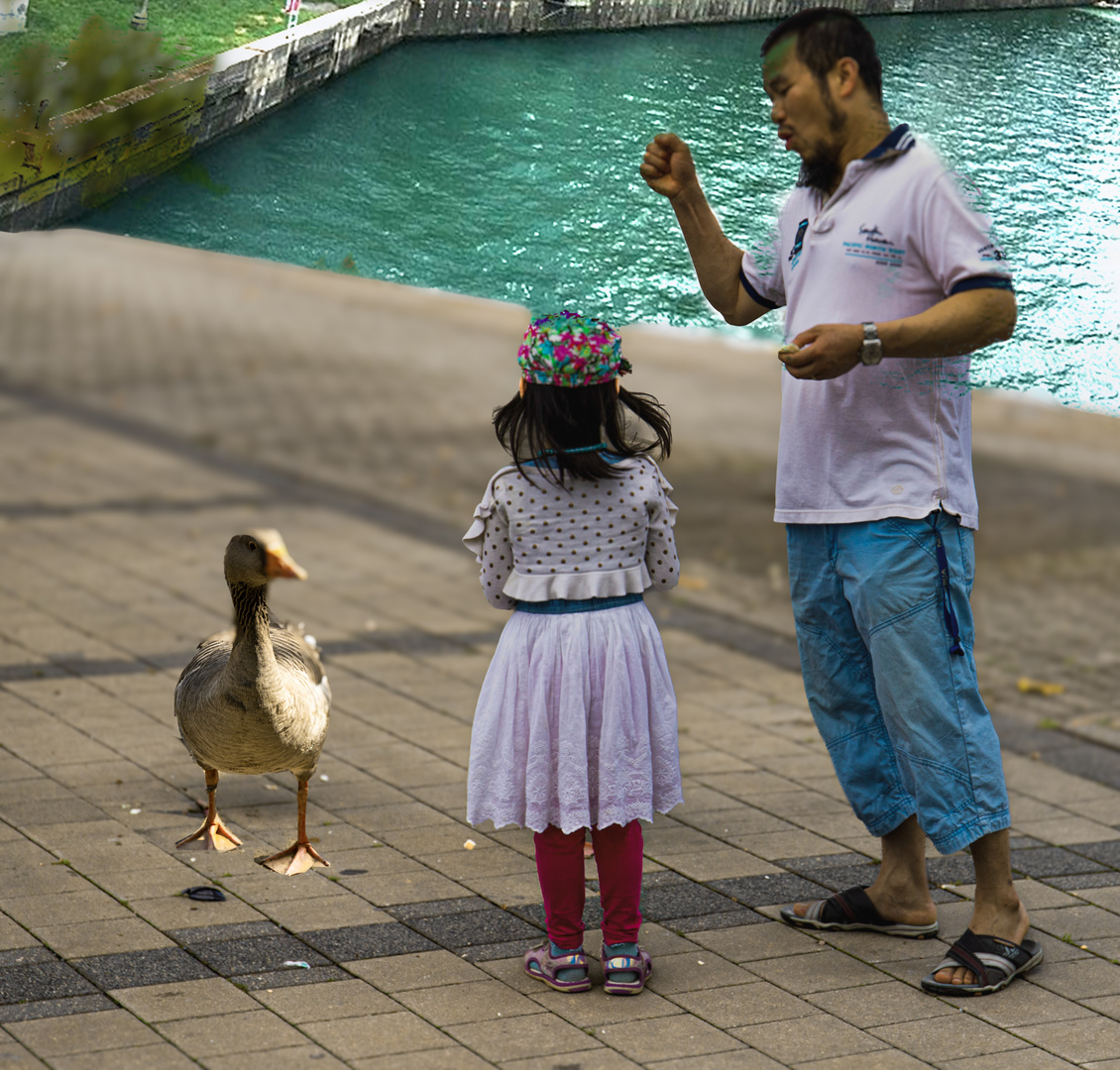 Ente süß-sauer, very billik