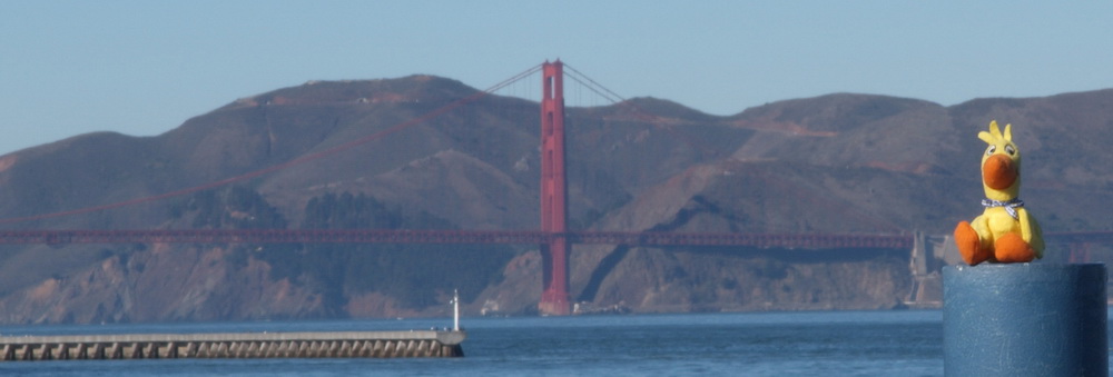 Ente und die Golden Gate Bridge