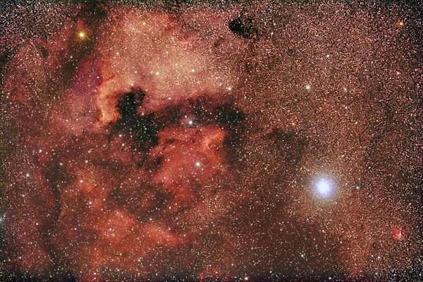 Ente und Nordamerika