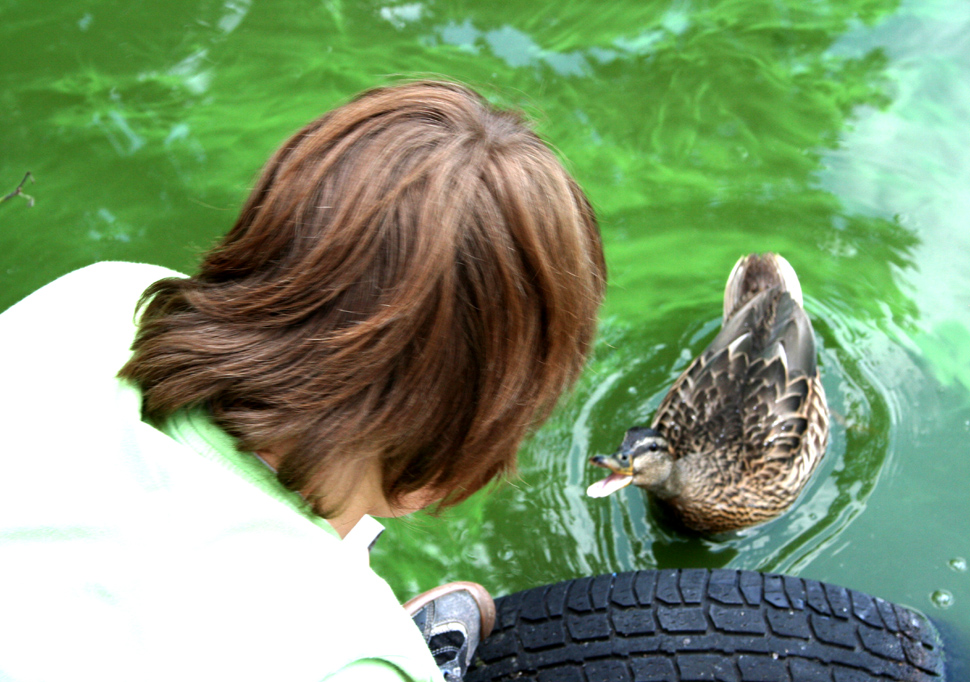 Ente unterhält sich mit Vincent