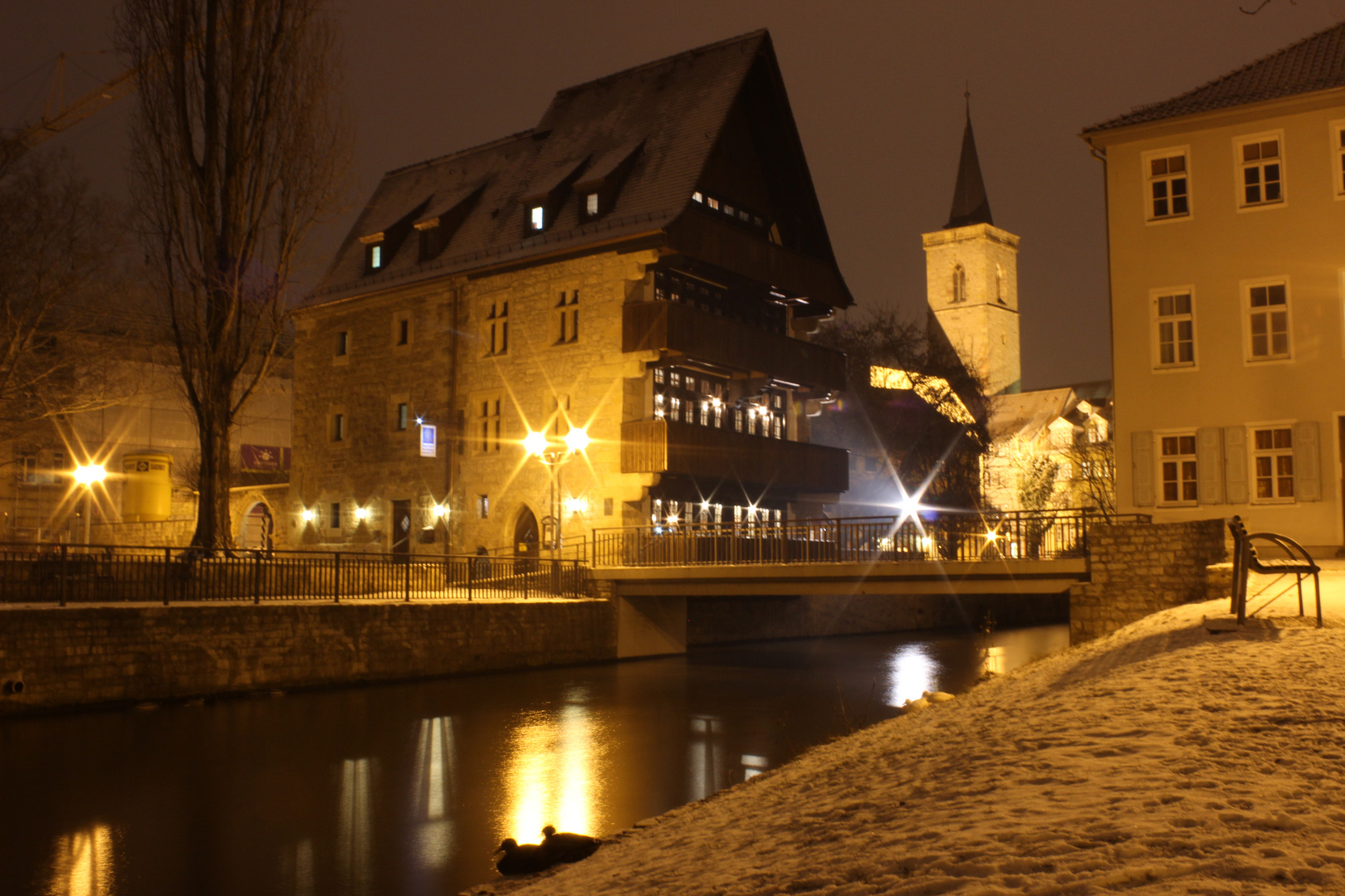 Enten am Augustiner in Erfurt