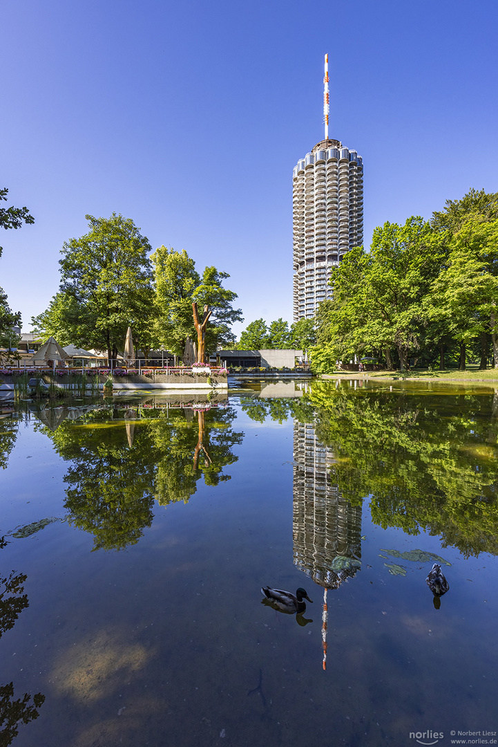 Enten am Hotelturm