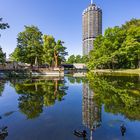 Enten am Hotelturm