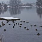 Enten-Anlegeplatz