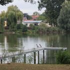 Enten auf dem (Lauf) Steg