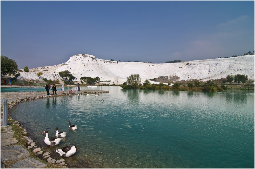 Enten bei Pamukkale