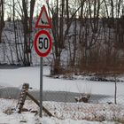 Enten dürfen hier nur mit 50 die Straße überqueren