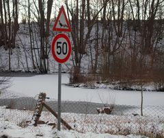 Enten dürfen hier nur mit 50 die Straße überqueren