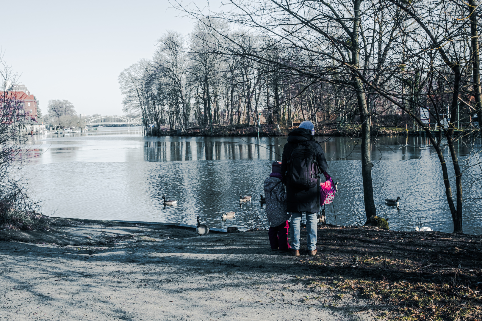 Enten Füttern,