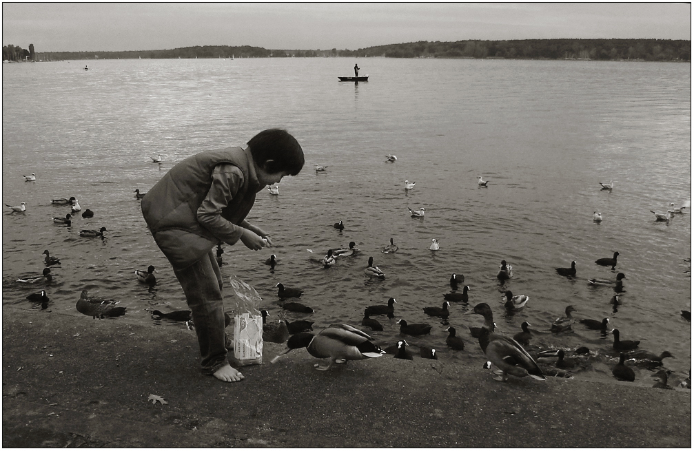 Enten füttern am Wannsee ...