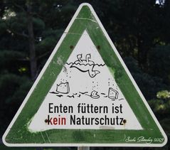 Enten füttern ist kein Naturschutz