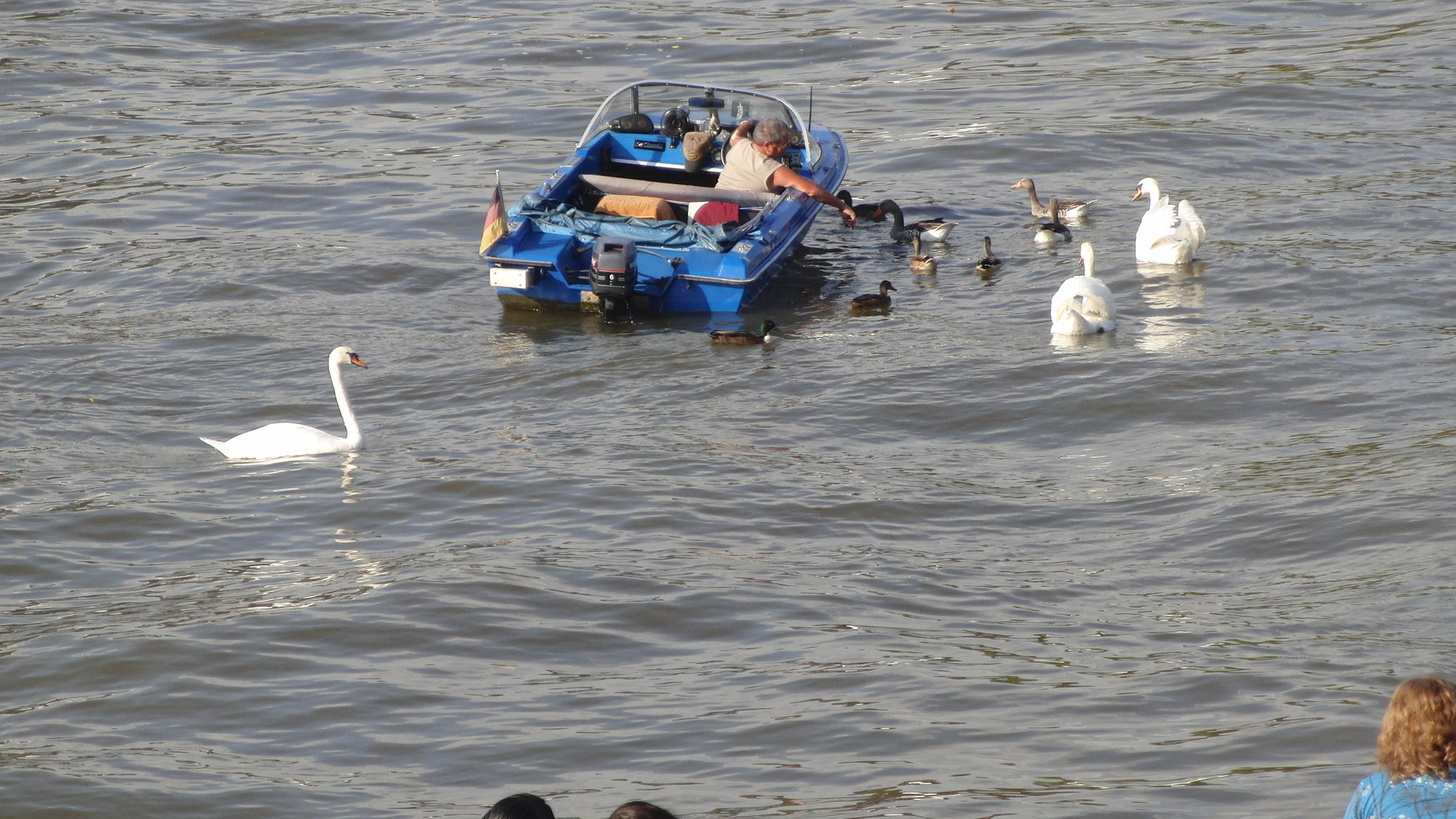 Enten füttern mal anders...