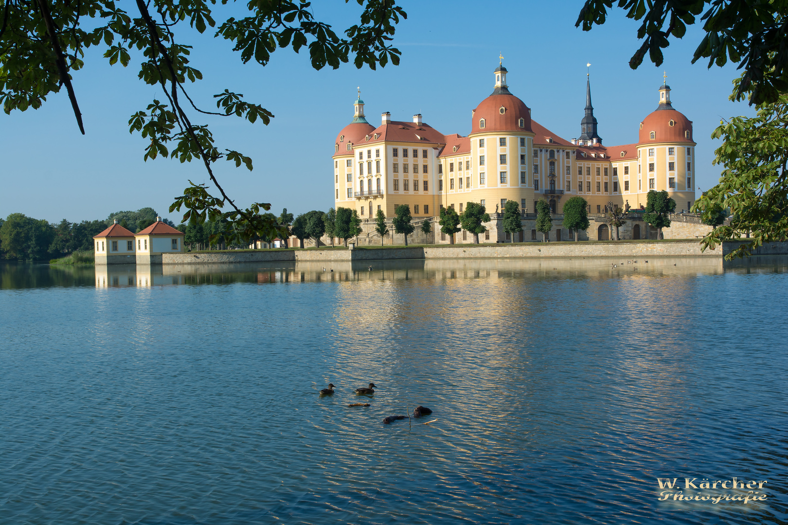 Enten genießen den Schlossanblick