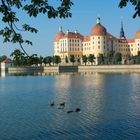 Enten genießen den Schlossanblick