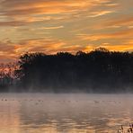 Enten im Nebel des ESK