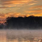 Enten im Nebel des ESK