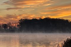 Enten im Nebel des ESK