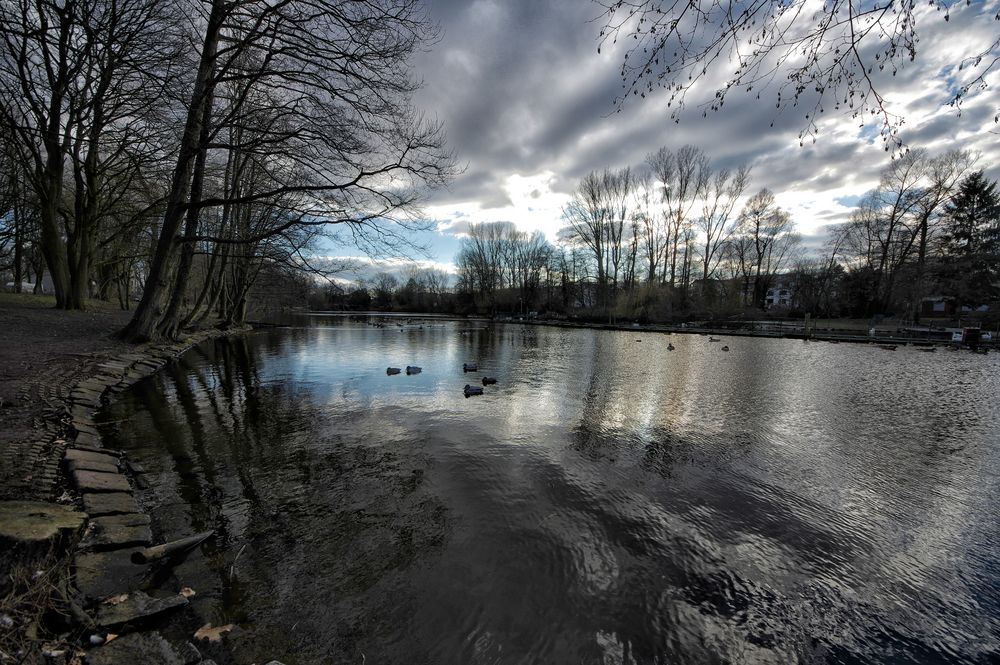 Enten in Parklandschaft