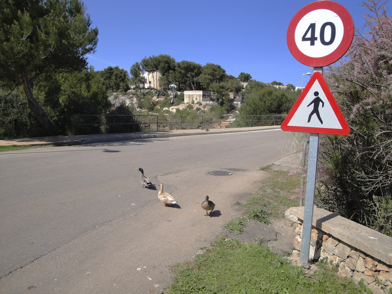 Enten - Road - Poeple Road........