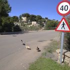 Enten - Road - Poeple Road........