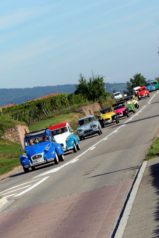 "Enten"-Schnappschüsse - 2 CV - (1)