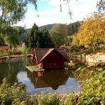 Enten-Sommerresidenz