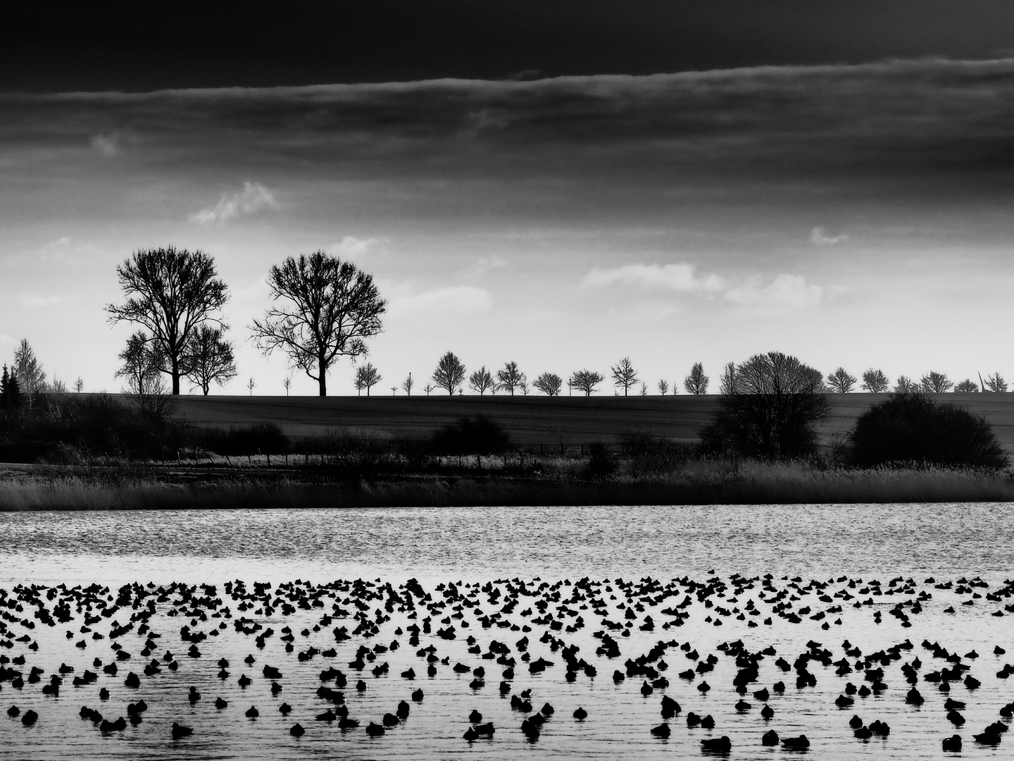 enten + wasser +bäume + wolken ...