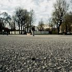 Enten zählen im Park