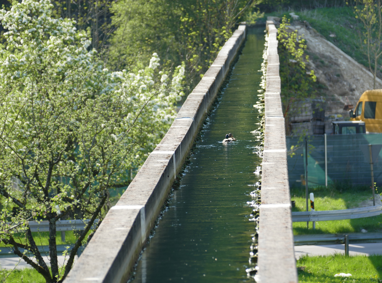 Entenausflug