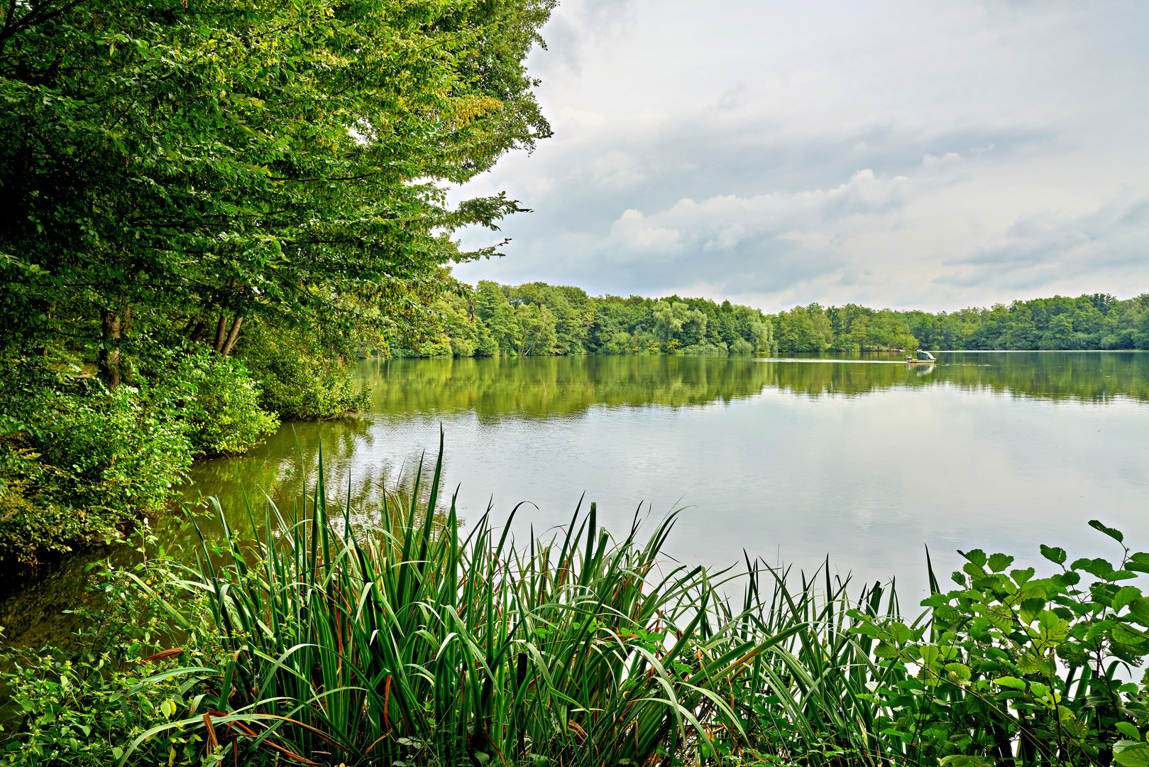 Entenfang Mülheim 1