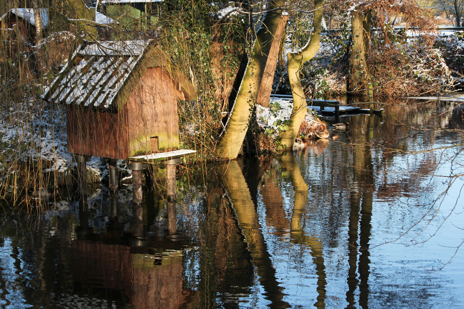Entenhaus am Teich Foto & Bild landschaft, teich, entenhaus Bilder