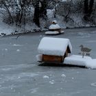 Entenhaus im Teich