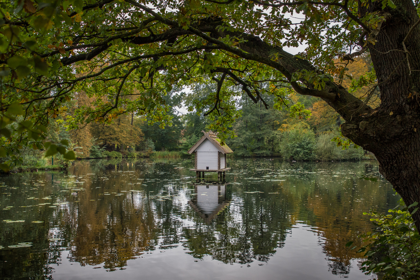 Entenhaus - Schlossteich Lübbenau/Spreewald