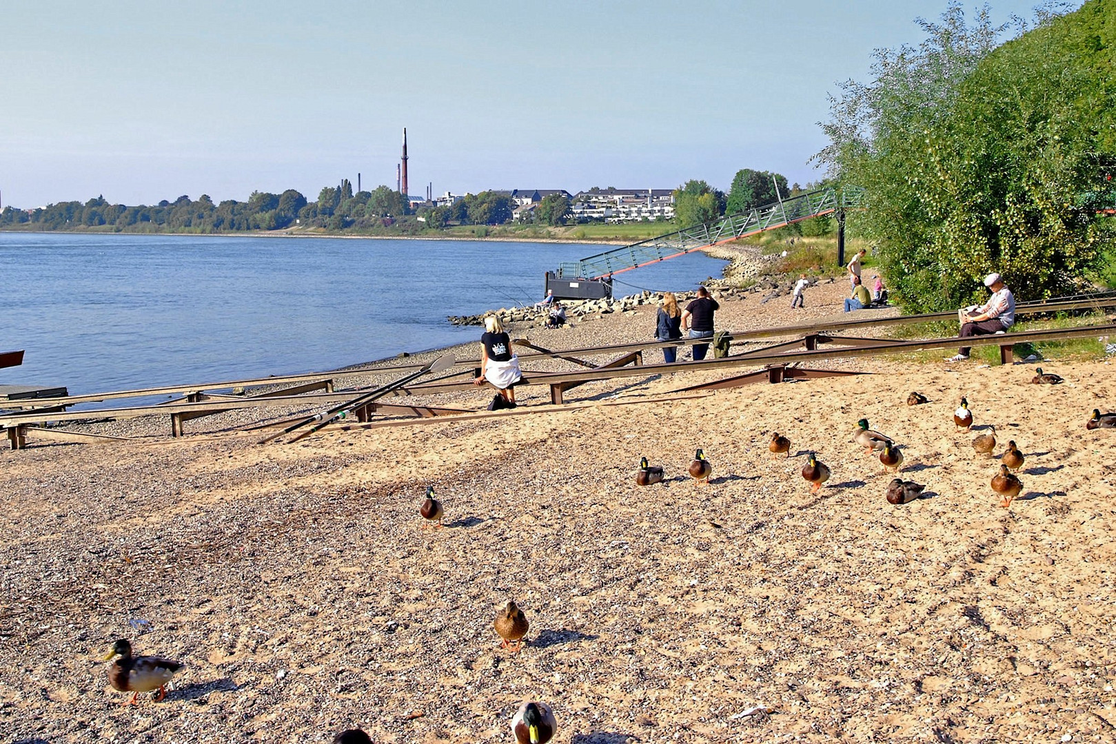 Entenhausen in Düsseldorf am Rhein