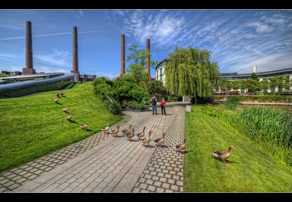 Entenhausen - Stadtteil Wolfsburg