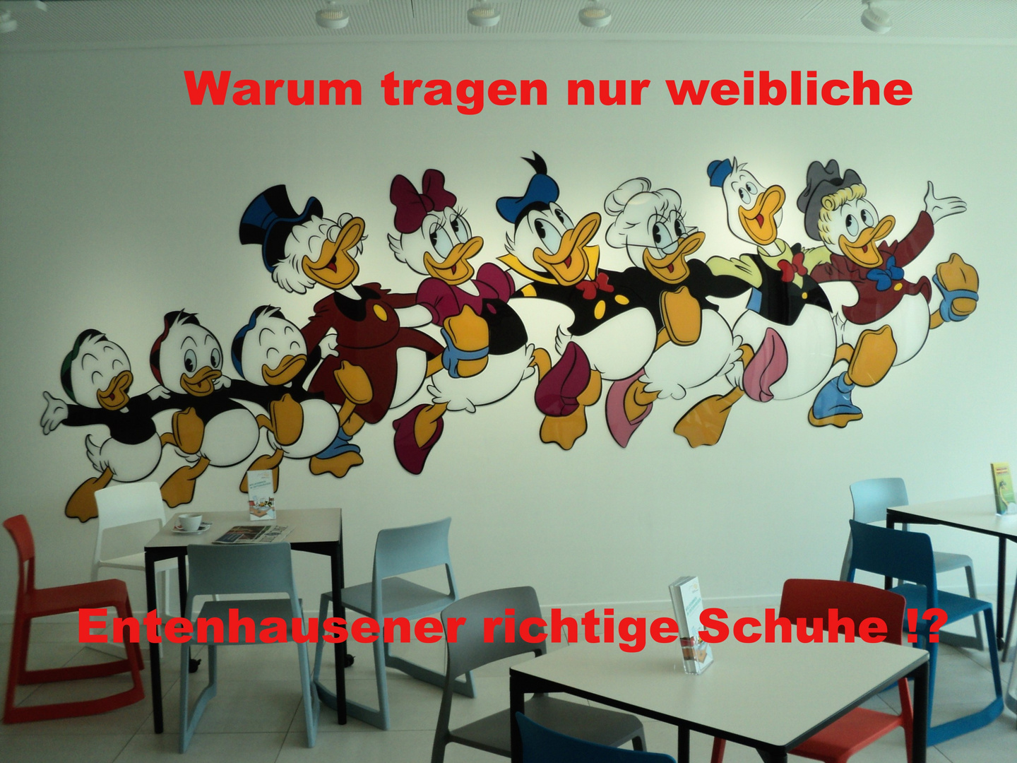 Entenhausener wissenschaftlich erforscht :