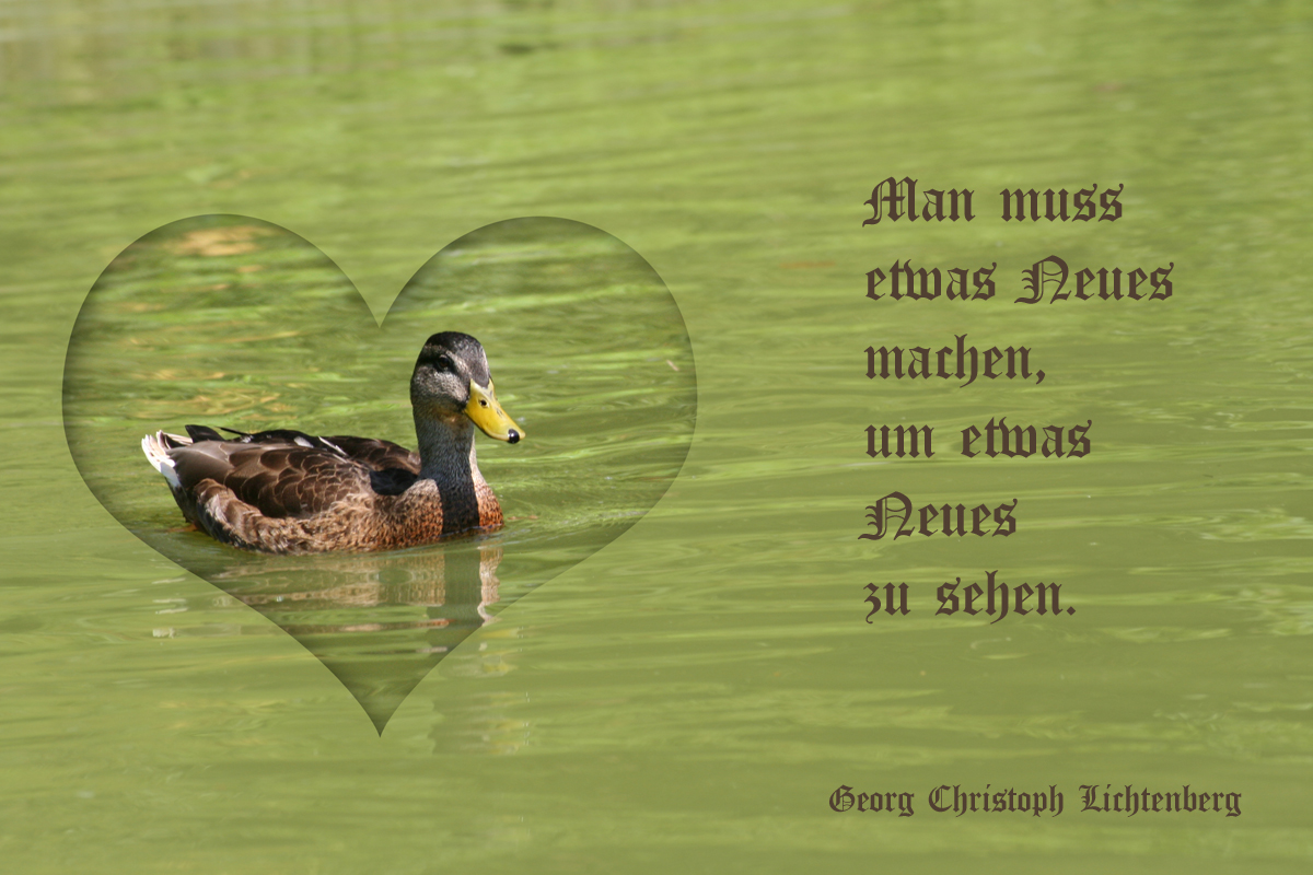 Entenherz mit Spruch