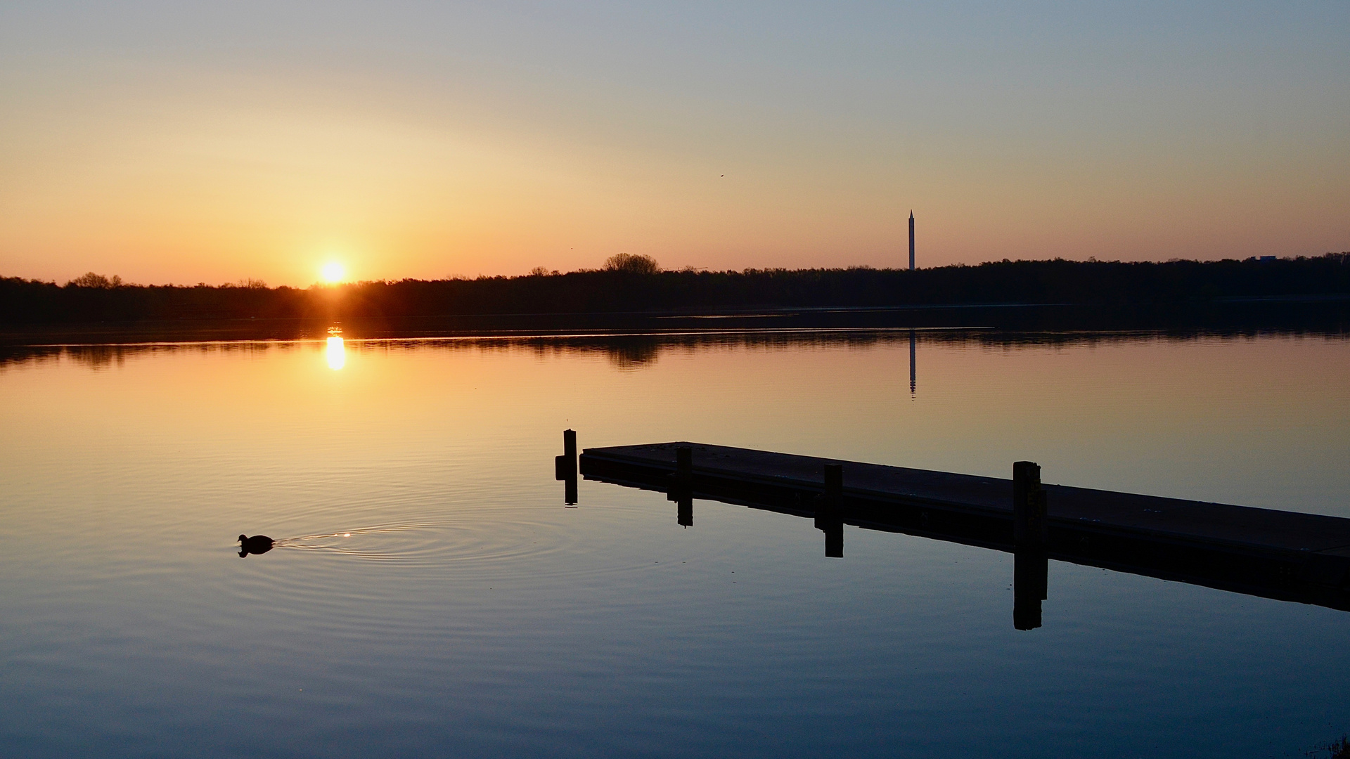 Entenidylle heute morgen am Unisee