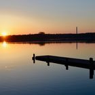 Entenidylle heute morgen am Unisee