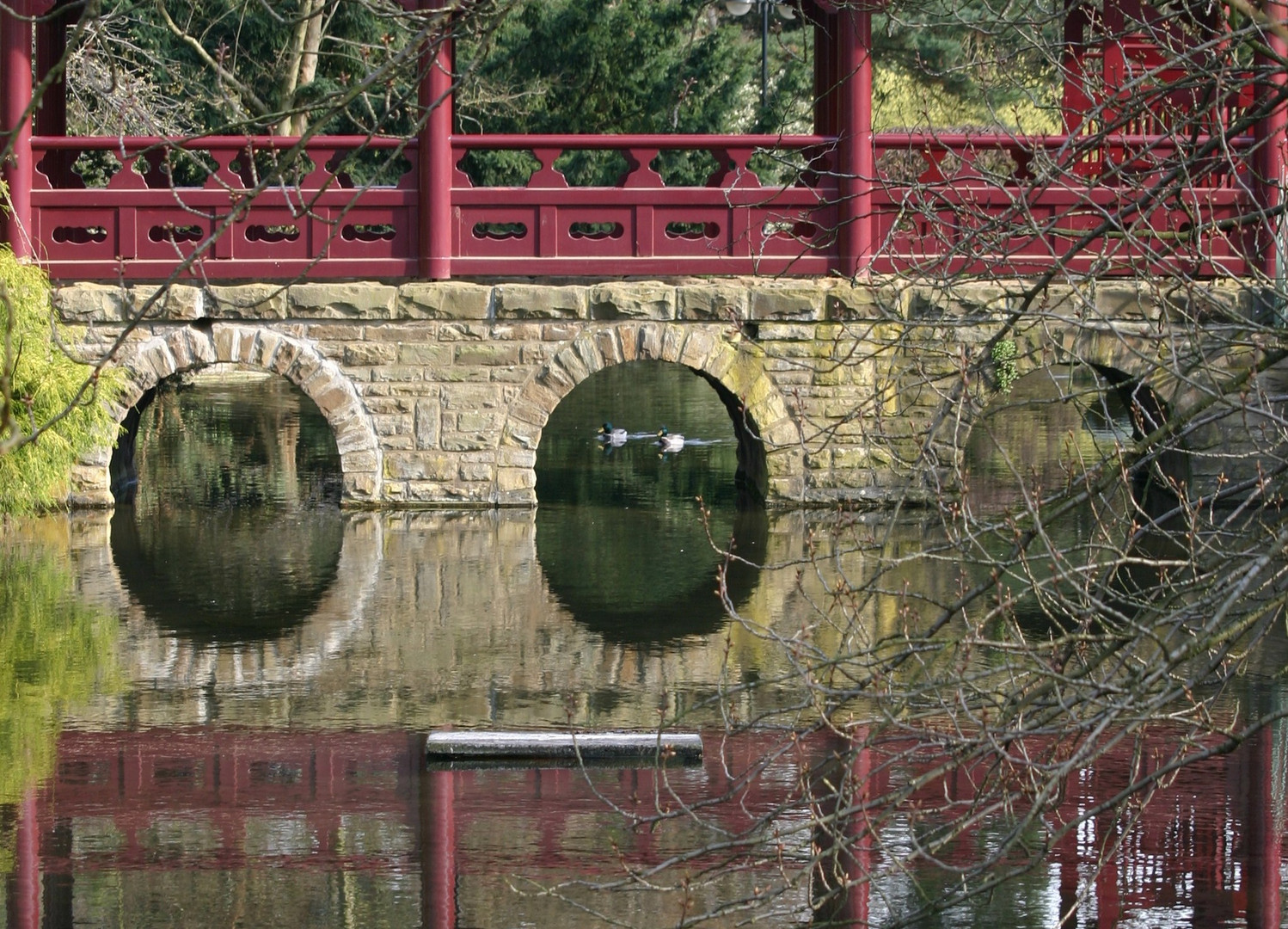 Entenpäarchen unter der Brücke