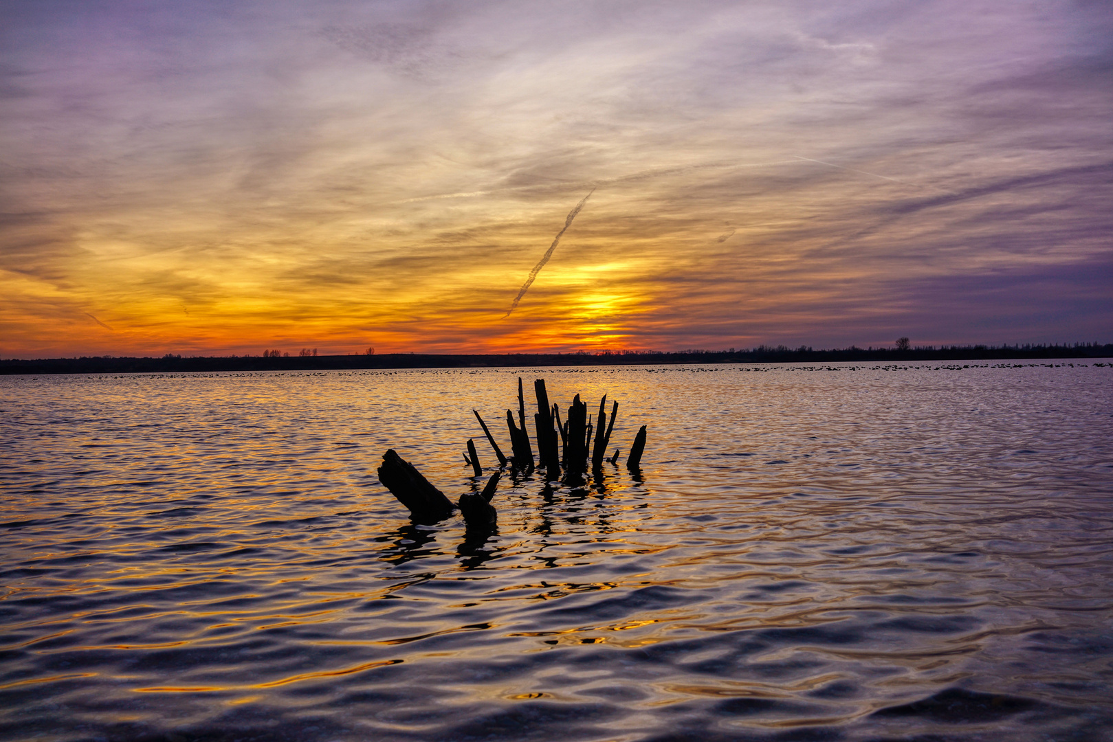 Entenparadies zum Sonnenuntergang