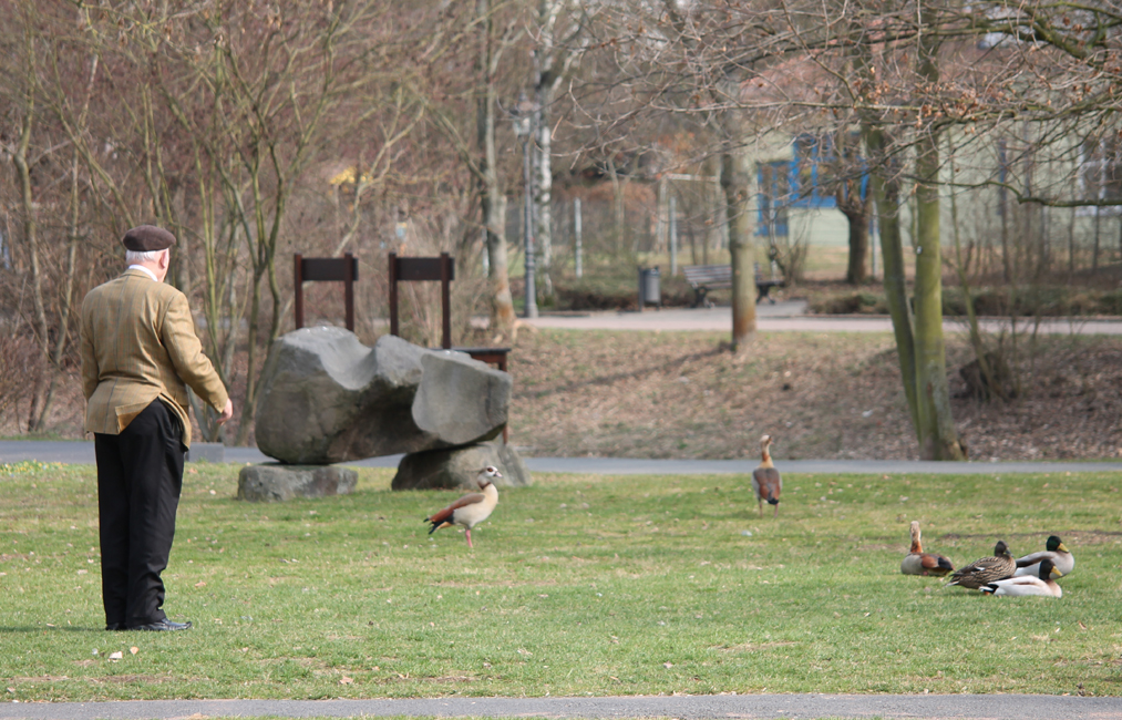 Entenpredigt oder eine Szene im Park