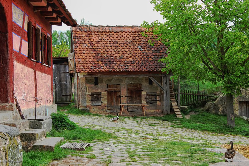 Entenstall Foto & Bild | world, bayern, deutschland Bilder auf