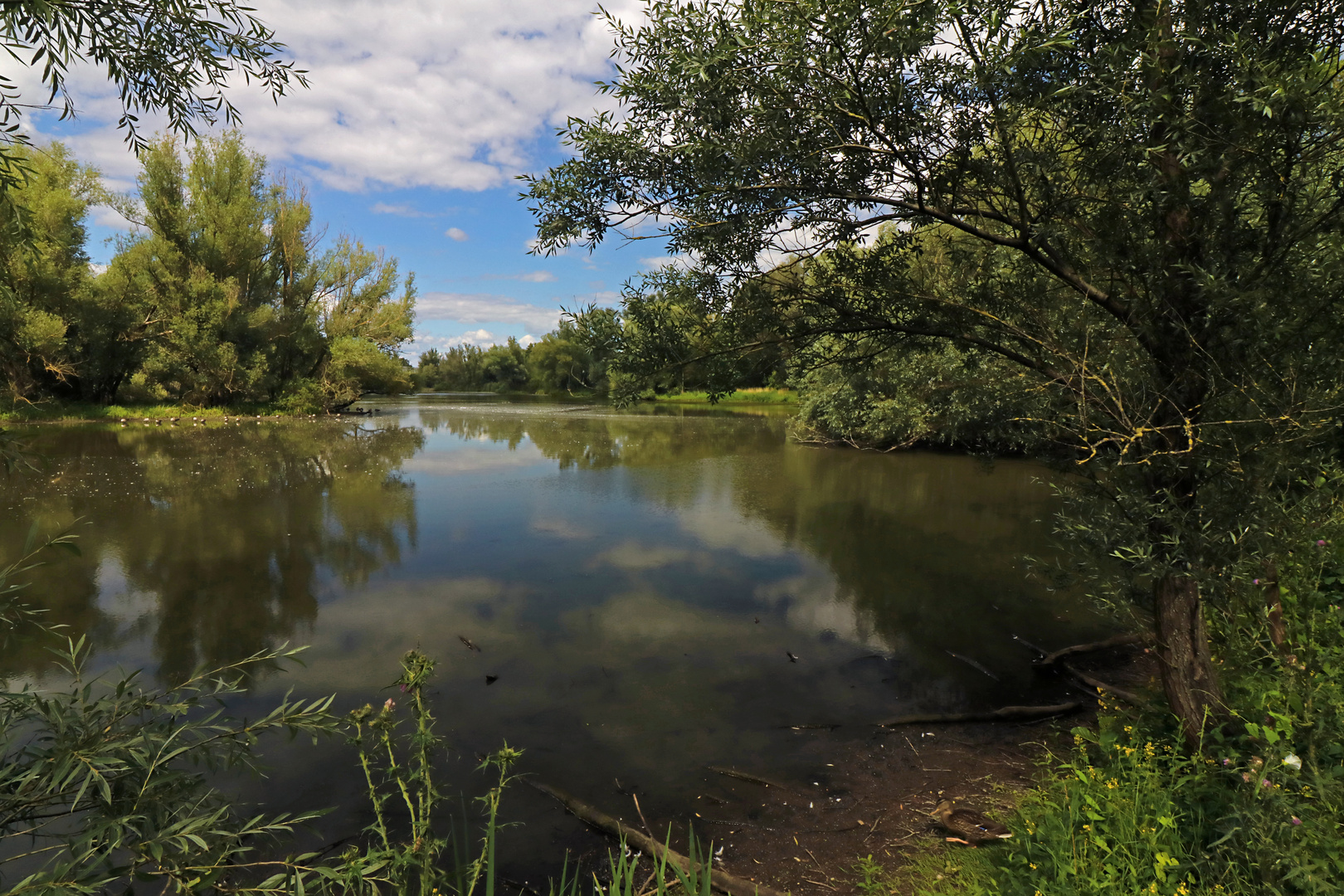 Ententeich beim Südsee