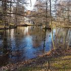 Ententeich im Parkschlösschen